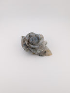 Moosachat Blume