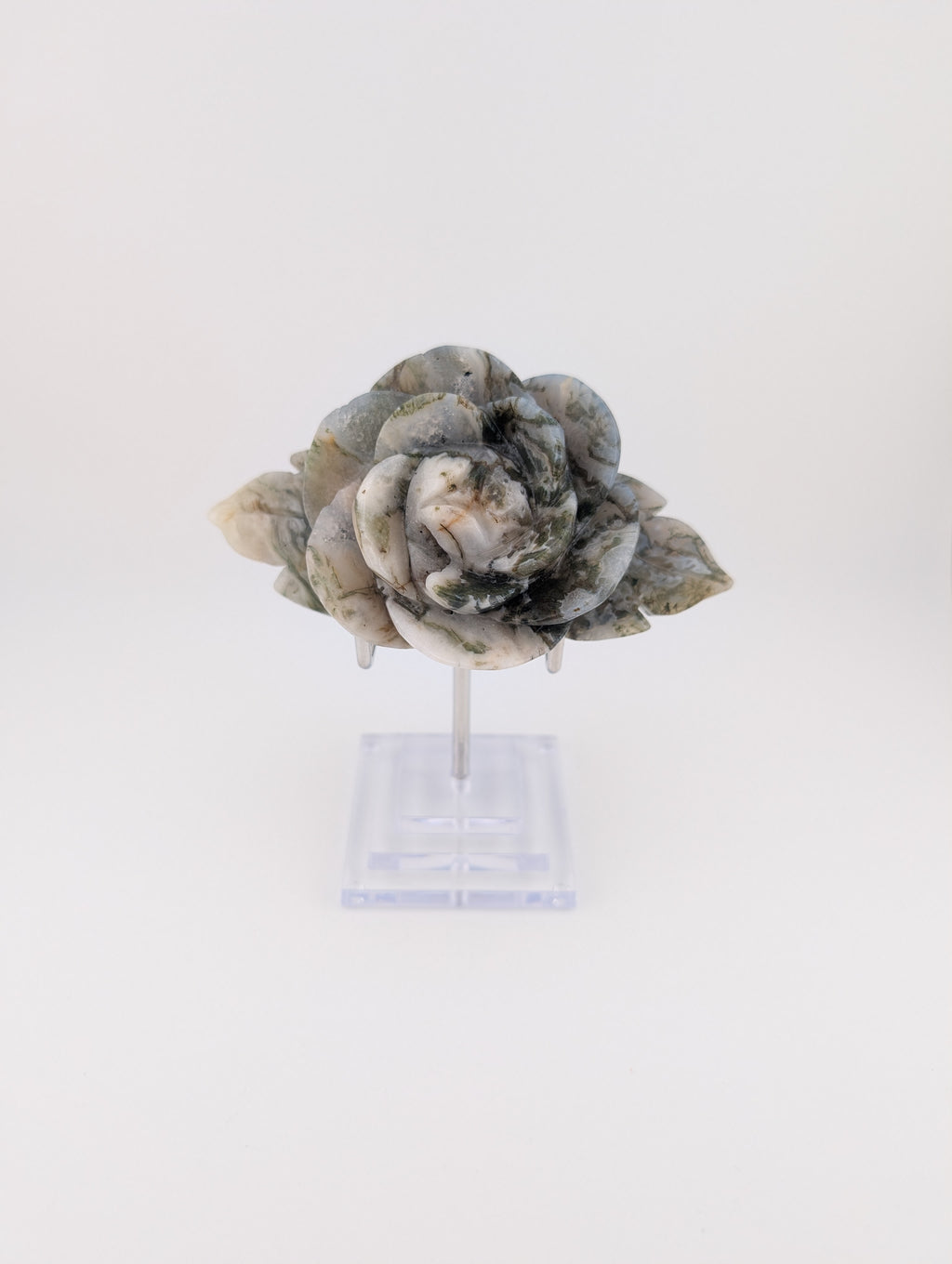 Moosachat Blume