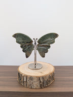 Moosacht Schmetterling, mini