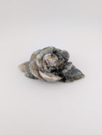 Moosachat Blume