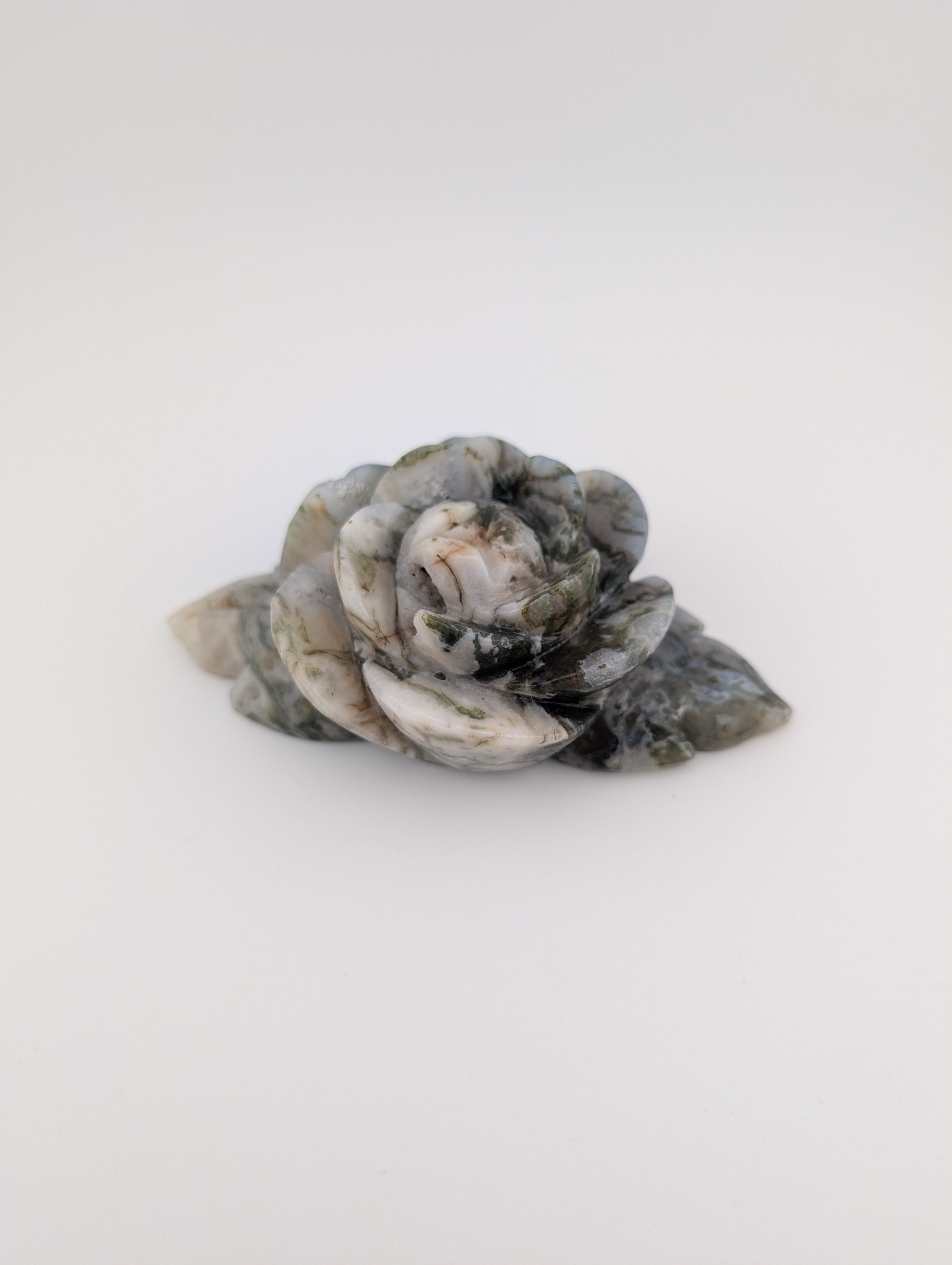 Moosachat Blume