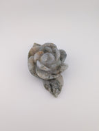 Moosachat Blume