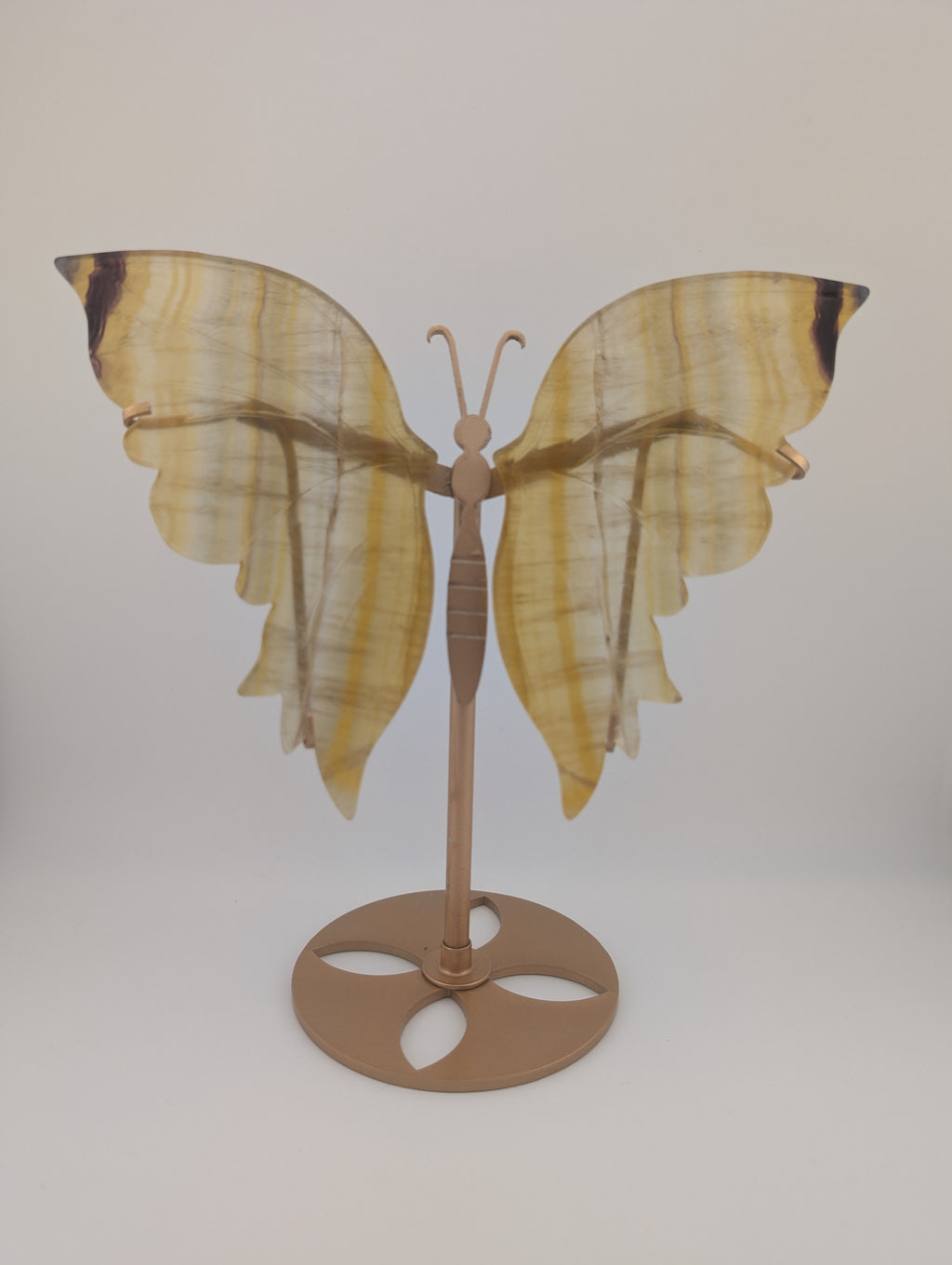 Fluorit Schmetterling auf Ständer