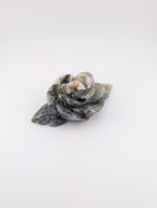 Moosachat Blume