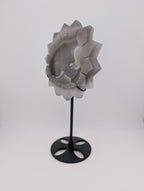 Achat Sonnenblume