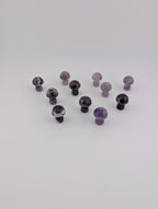 Amethyst Pilz