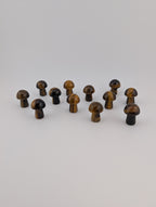 Tigerauge Pilz