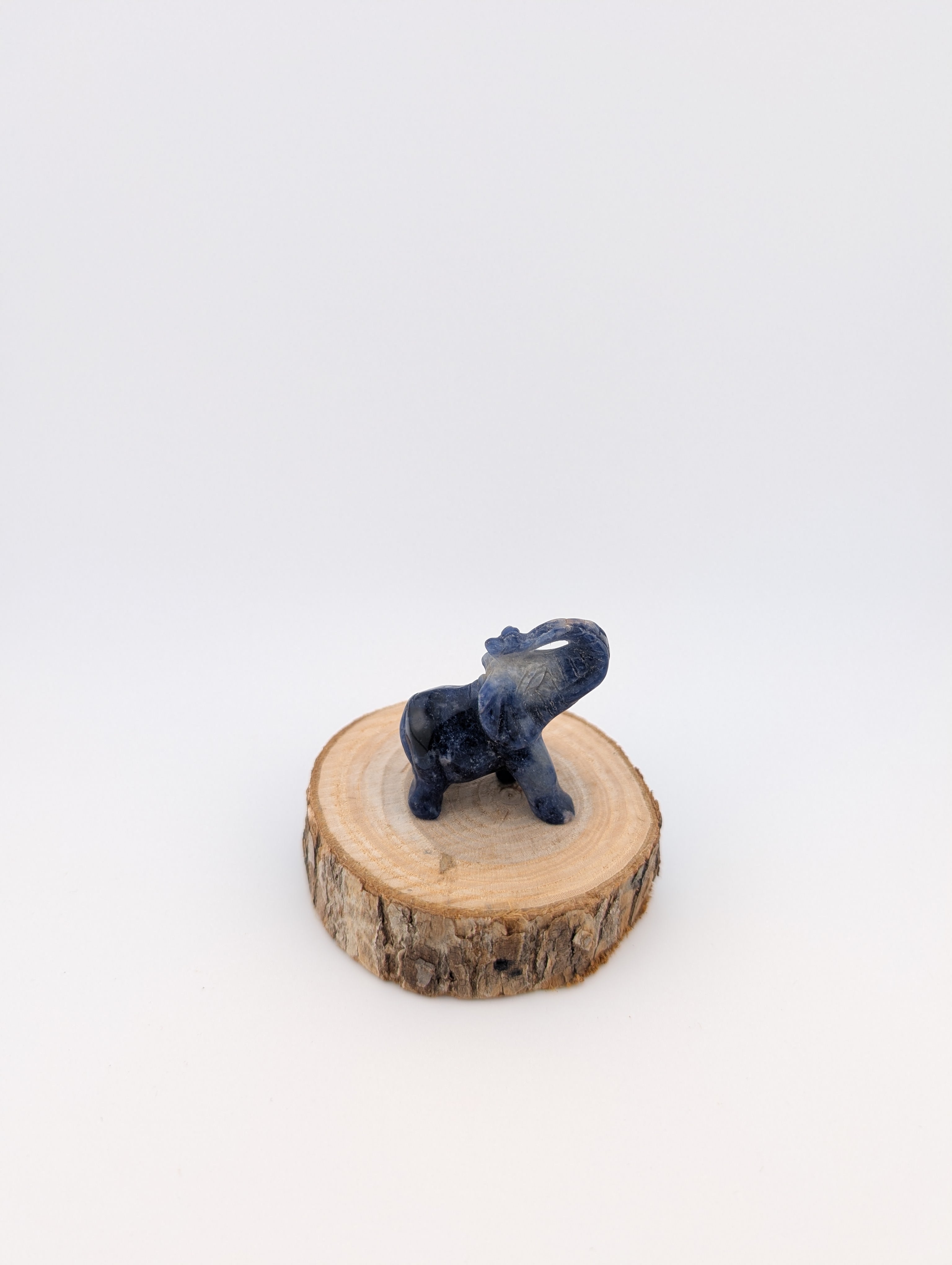 kleiner Elefant
