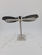 Gold Obsidian Libelle