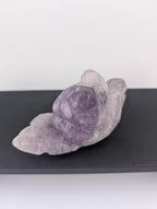 Amethyst Rosen