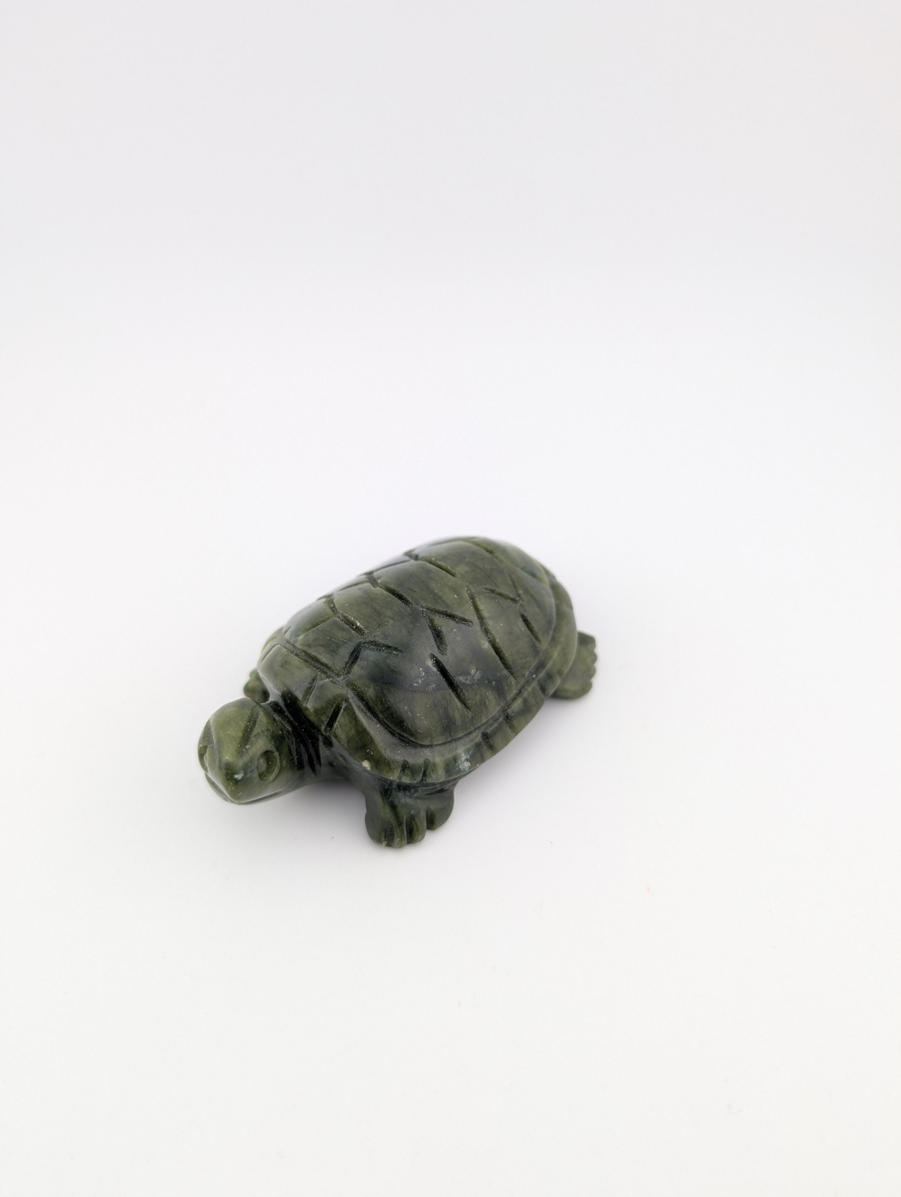 Grüne Jade Schildkröte