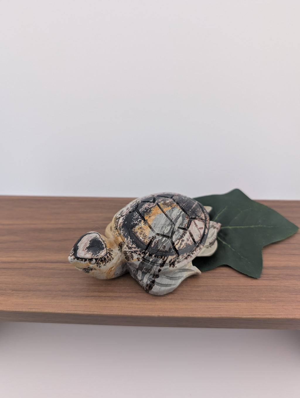 Bilder Jaspis Schildkröte