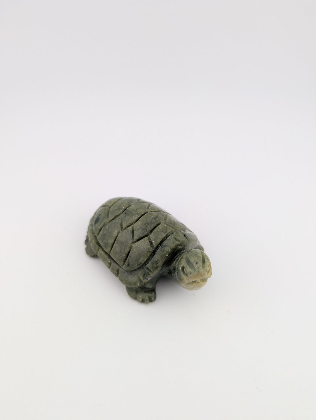 Grüne Jade Schildkröte