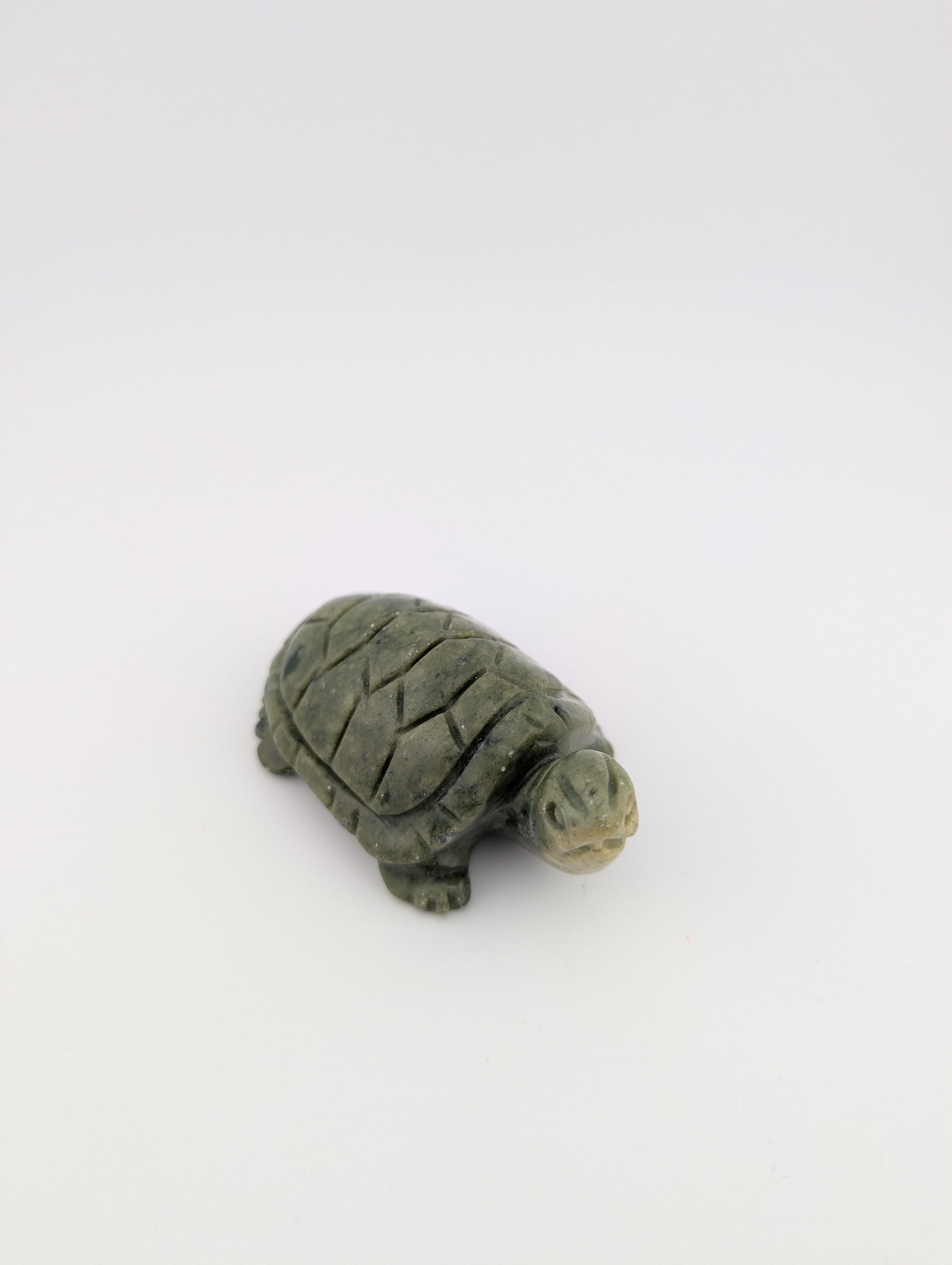 Grüne Jade Schildkröte