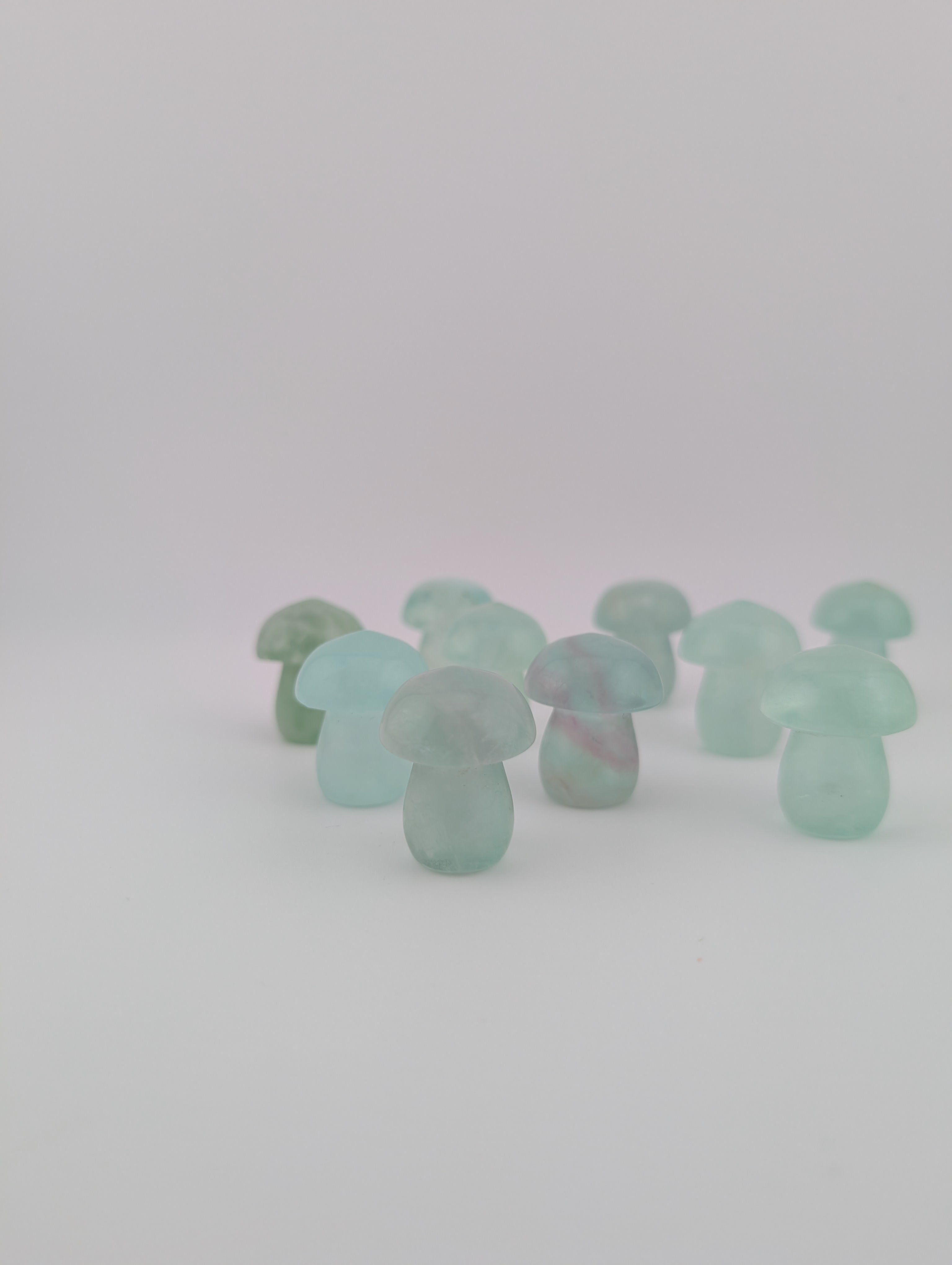 Fluorit Pilz