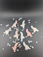 Mystery Dino-Penis 18+