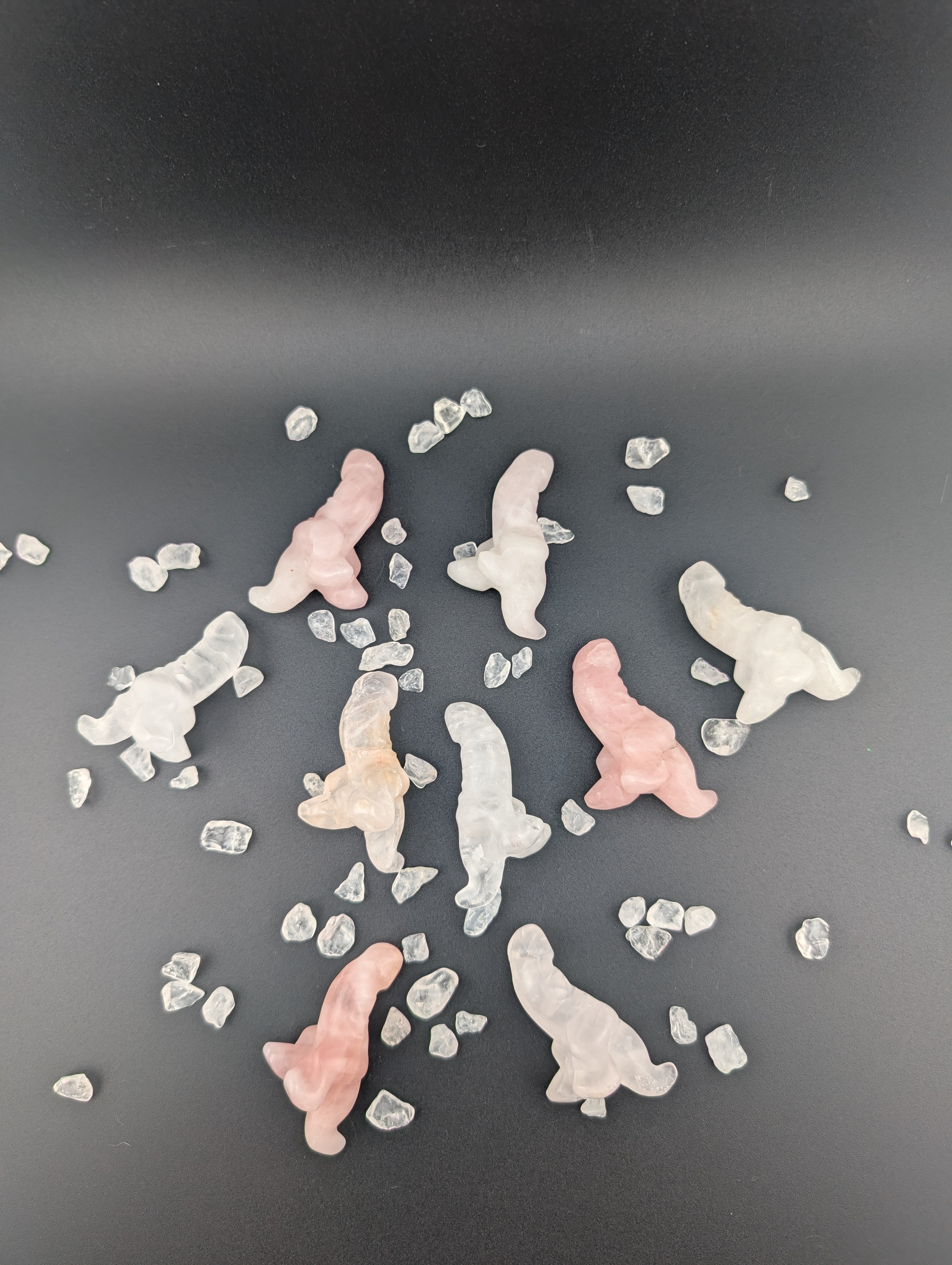 Mystery Dino-Penis 18+