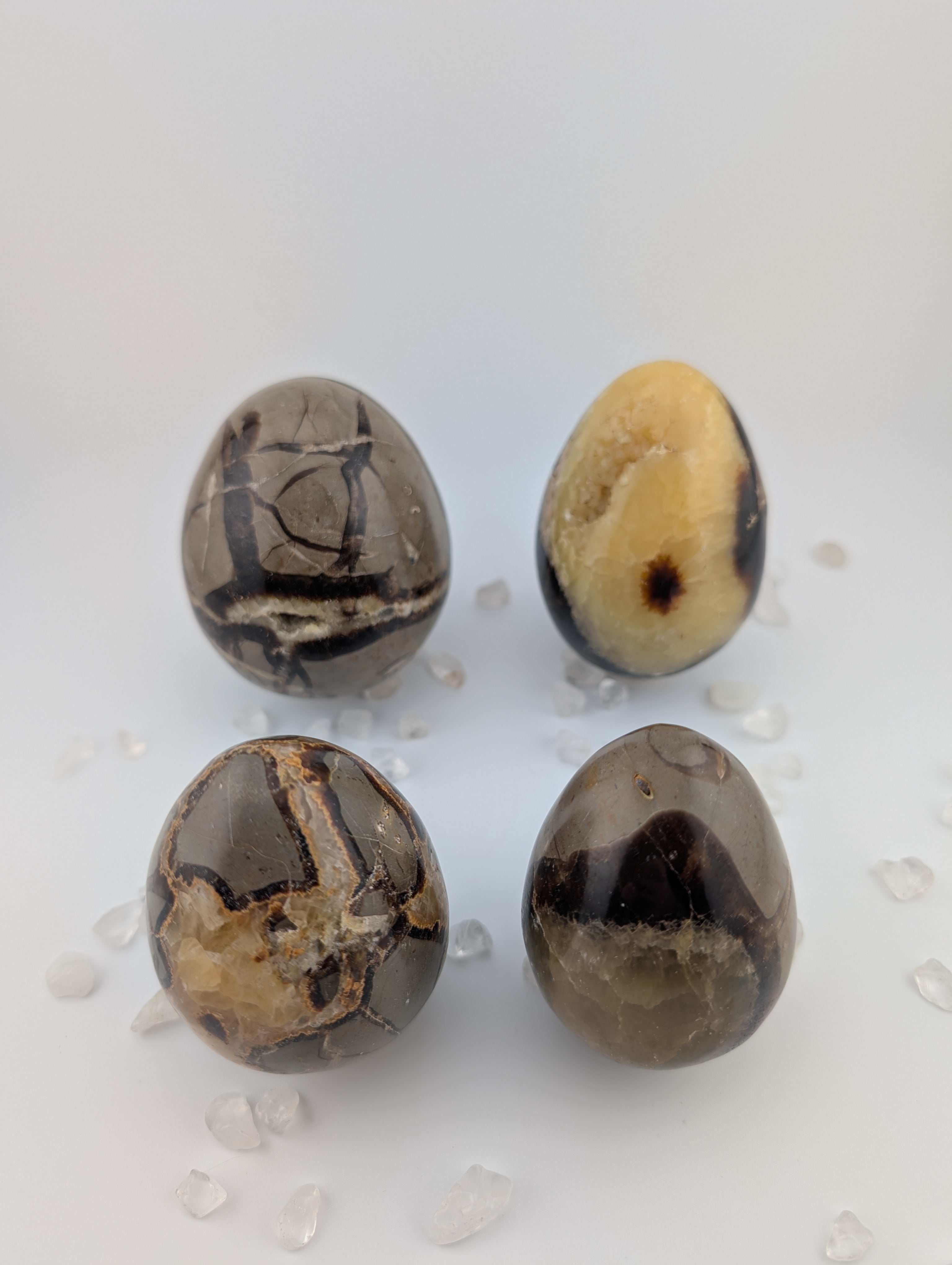 Septarien Eier