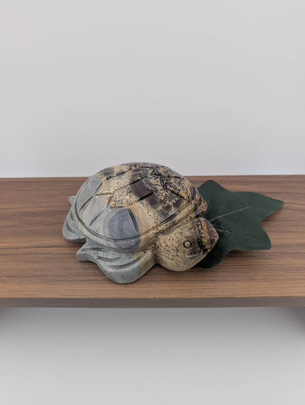 Bilder Jaspis Schildkröte