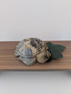 Bilder Jaspis Schildkröte