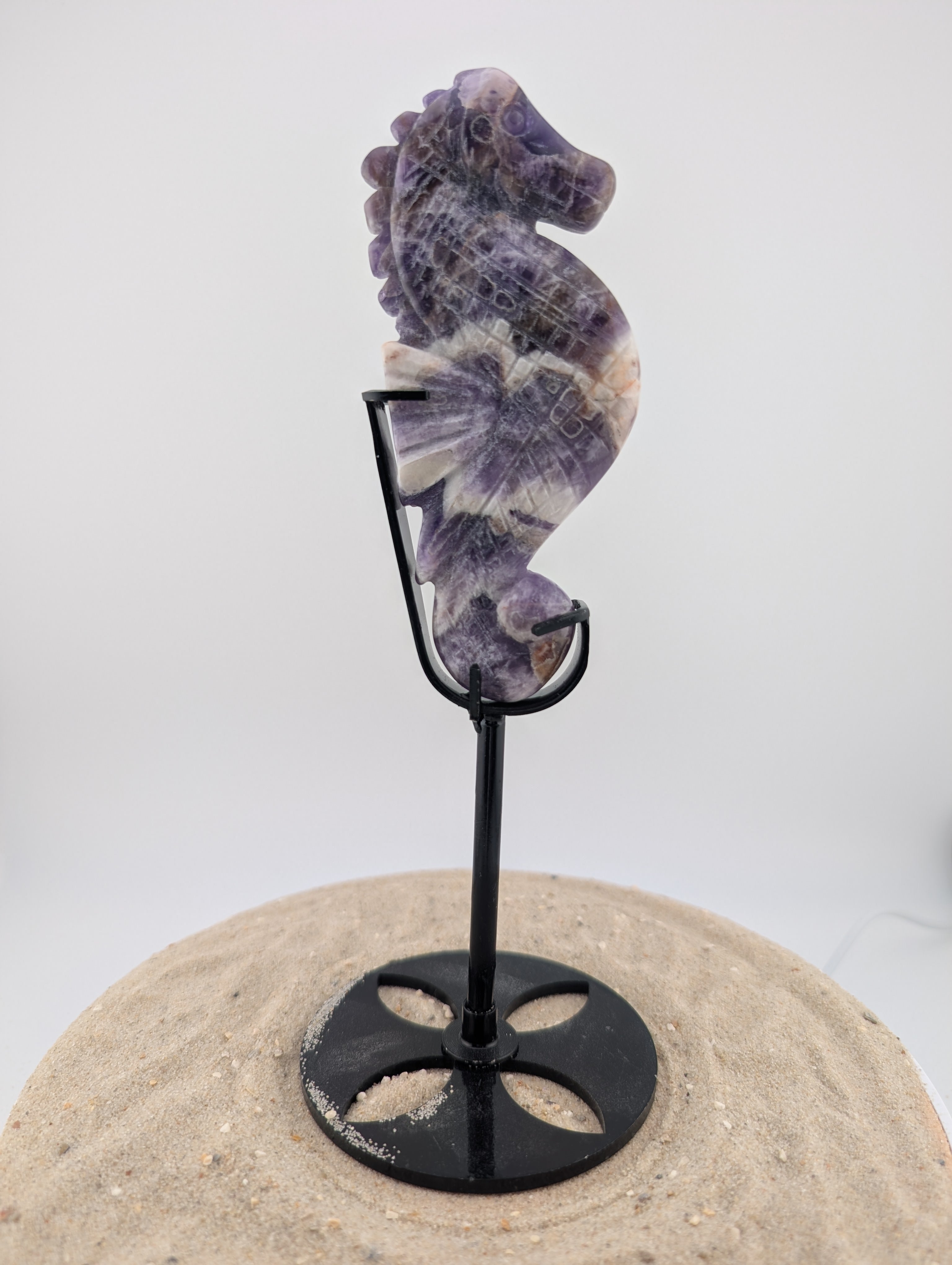 Traum Amethyst Seepferdchen auf Ständer