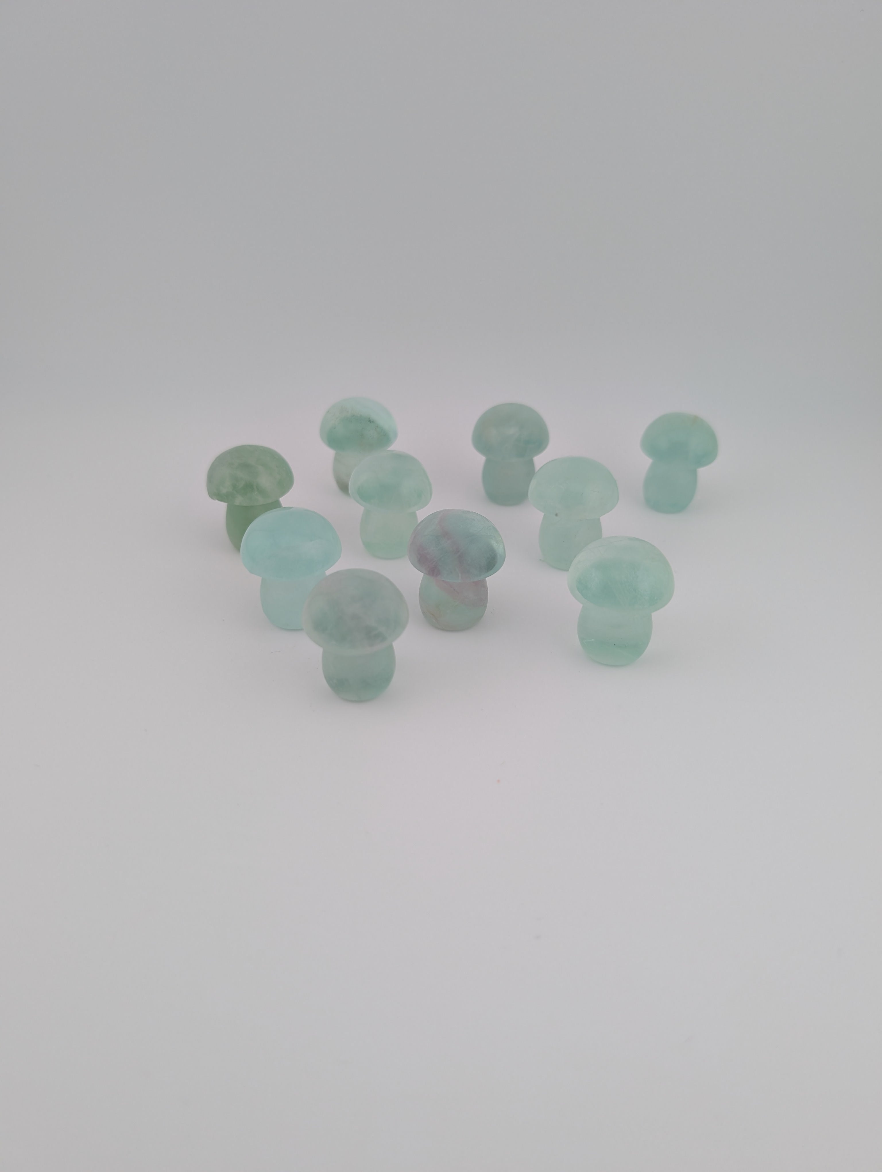 Fluorit Pilz