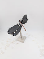 Gold Obsidian Libelle