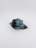 Troilit Blume