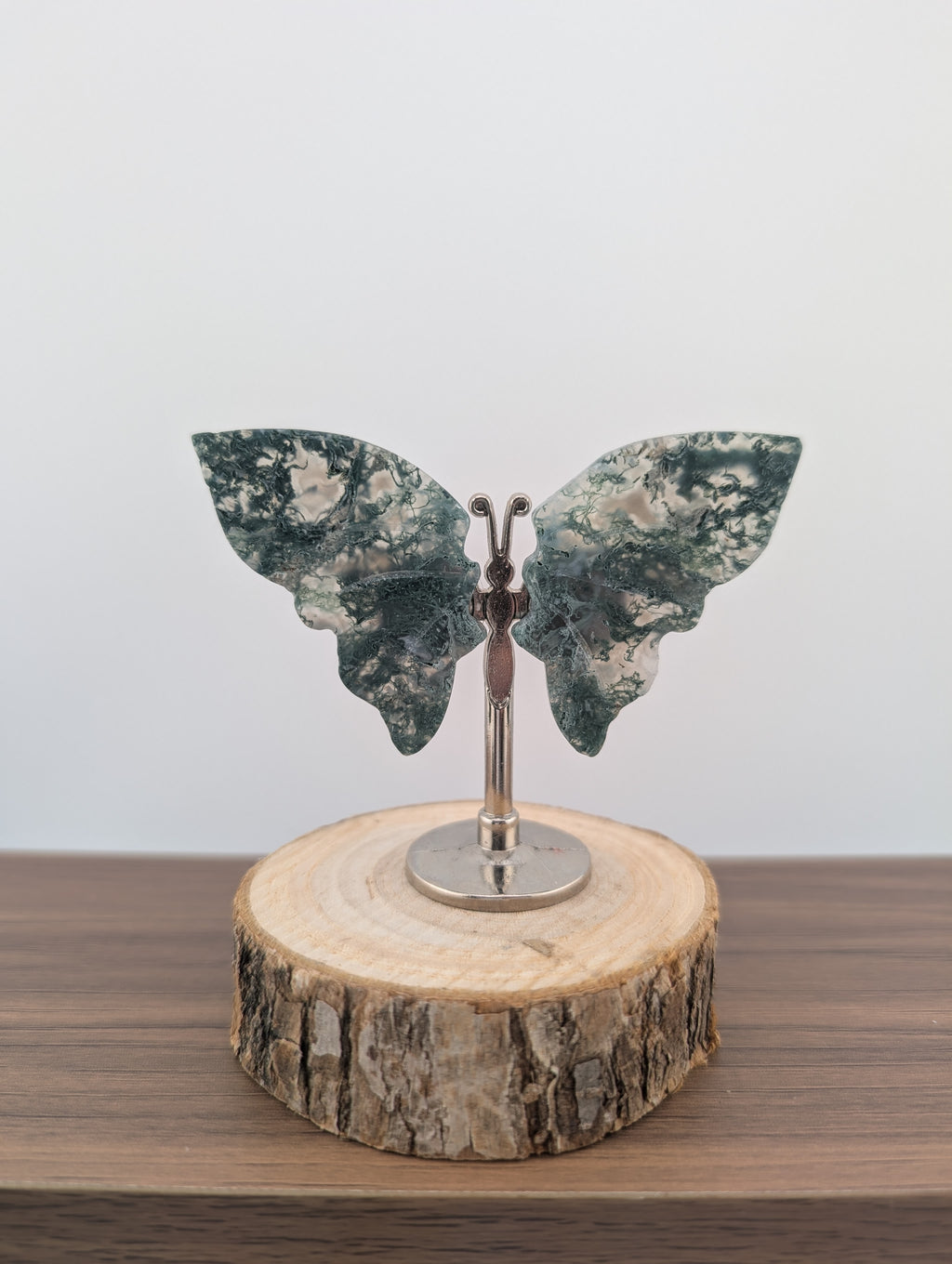 Moosacht Schmetterling, mini
