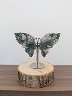 Moosacht Schmetterling, mini