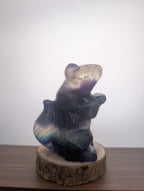 Fluorit Eichhörnchen