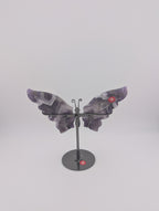 Traum Amethyst Schmetterling