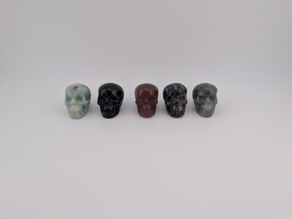 Mystery Skull