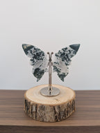 Moosacht Schmetterling, mini