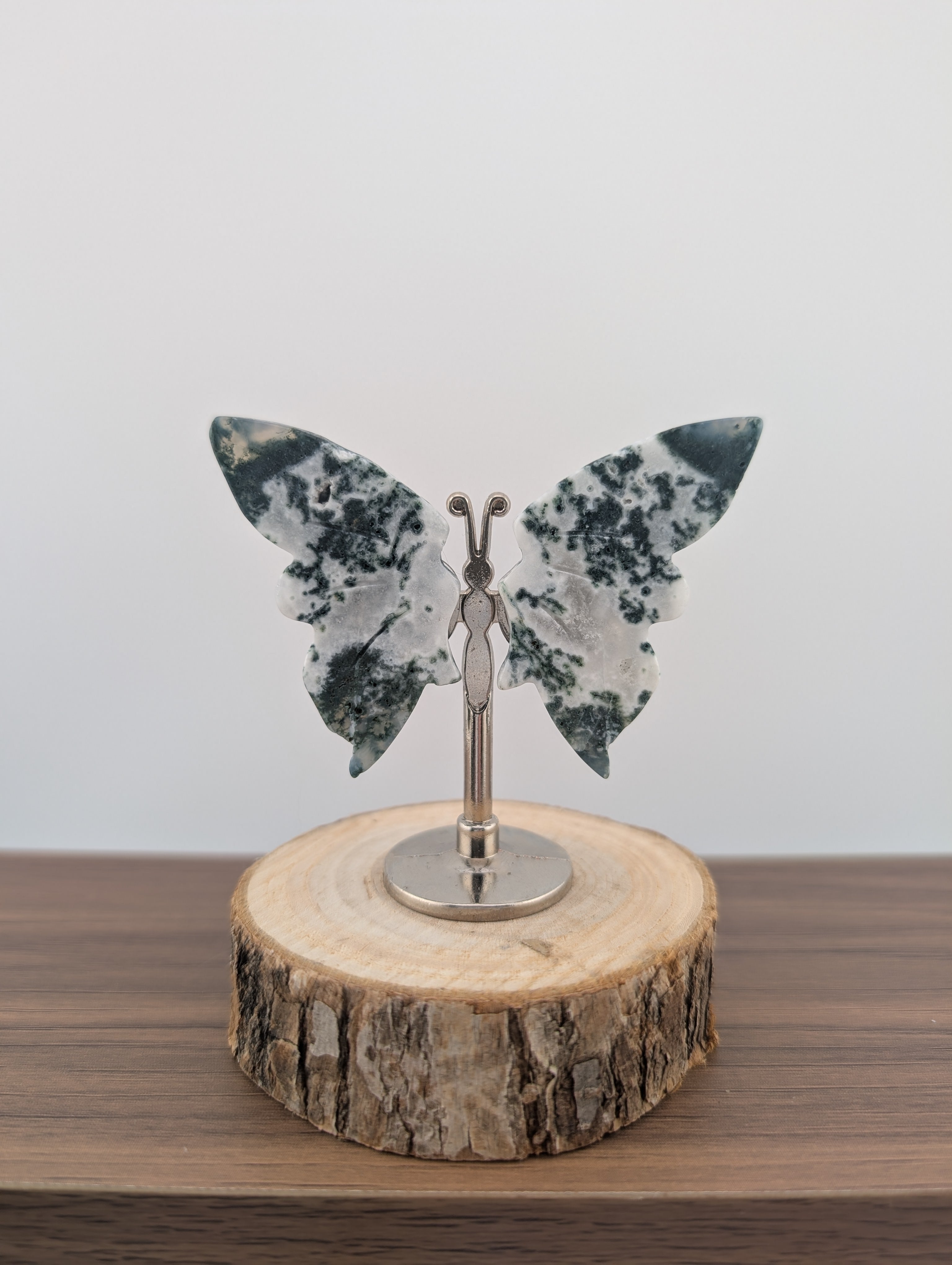 Moosacht Schmetterling, mini