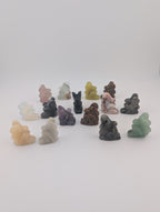 Mystery Mini Fee