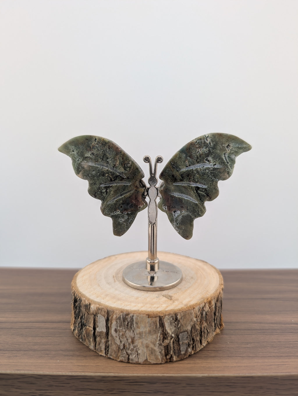 Moosacht Schmetterling, mini