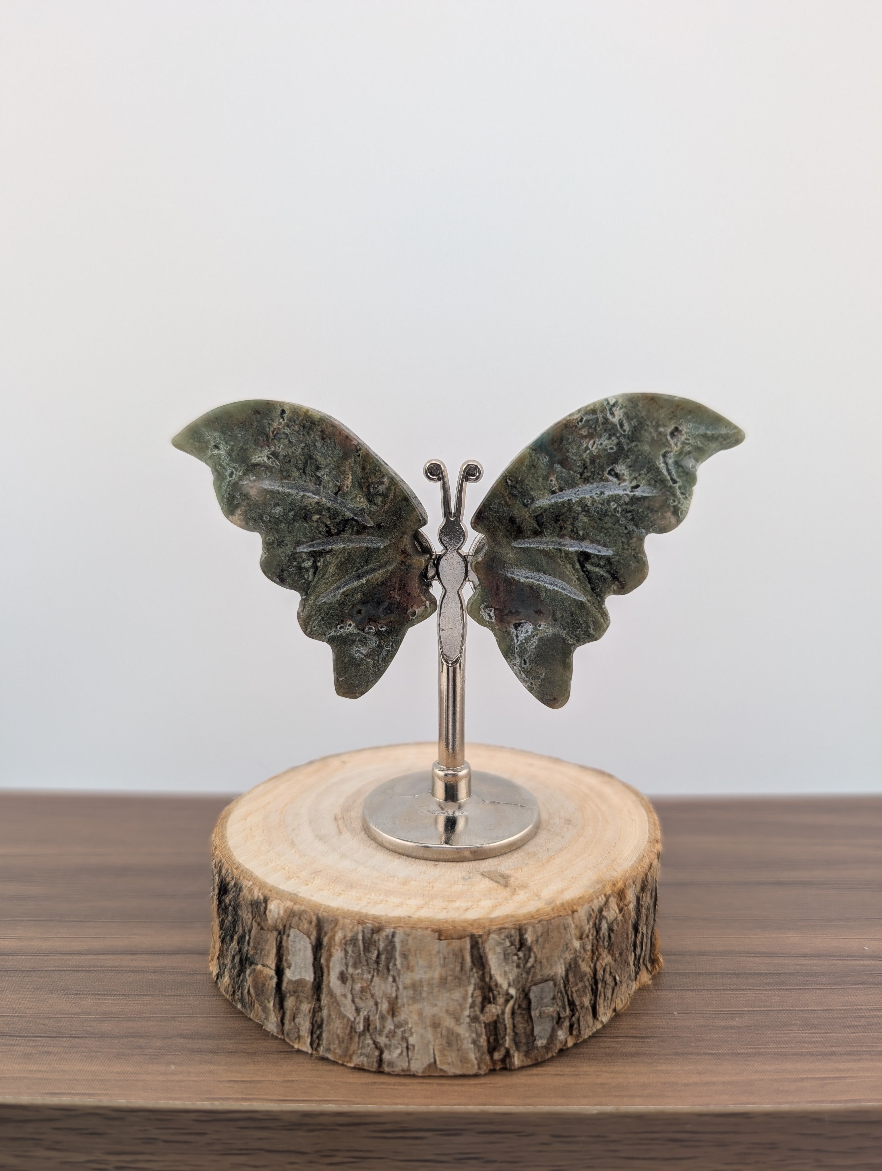 Moosacht Schmetterling, mini