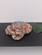 Blumenachat Blume