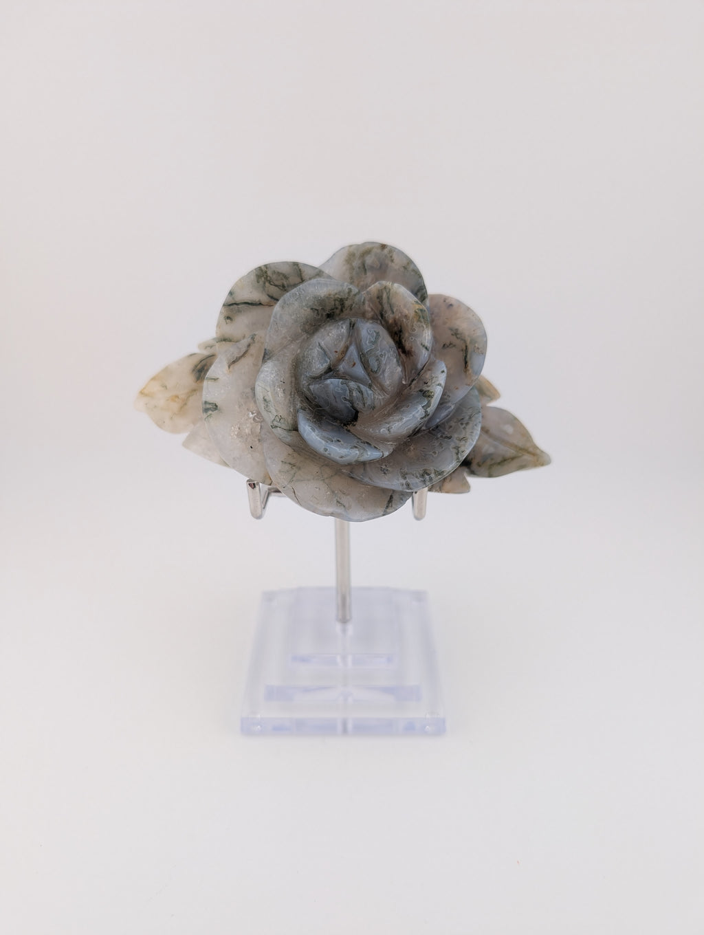 Moosachat Blume