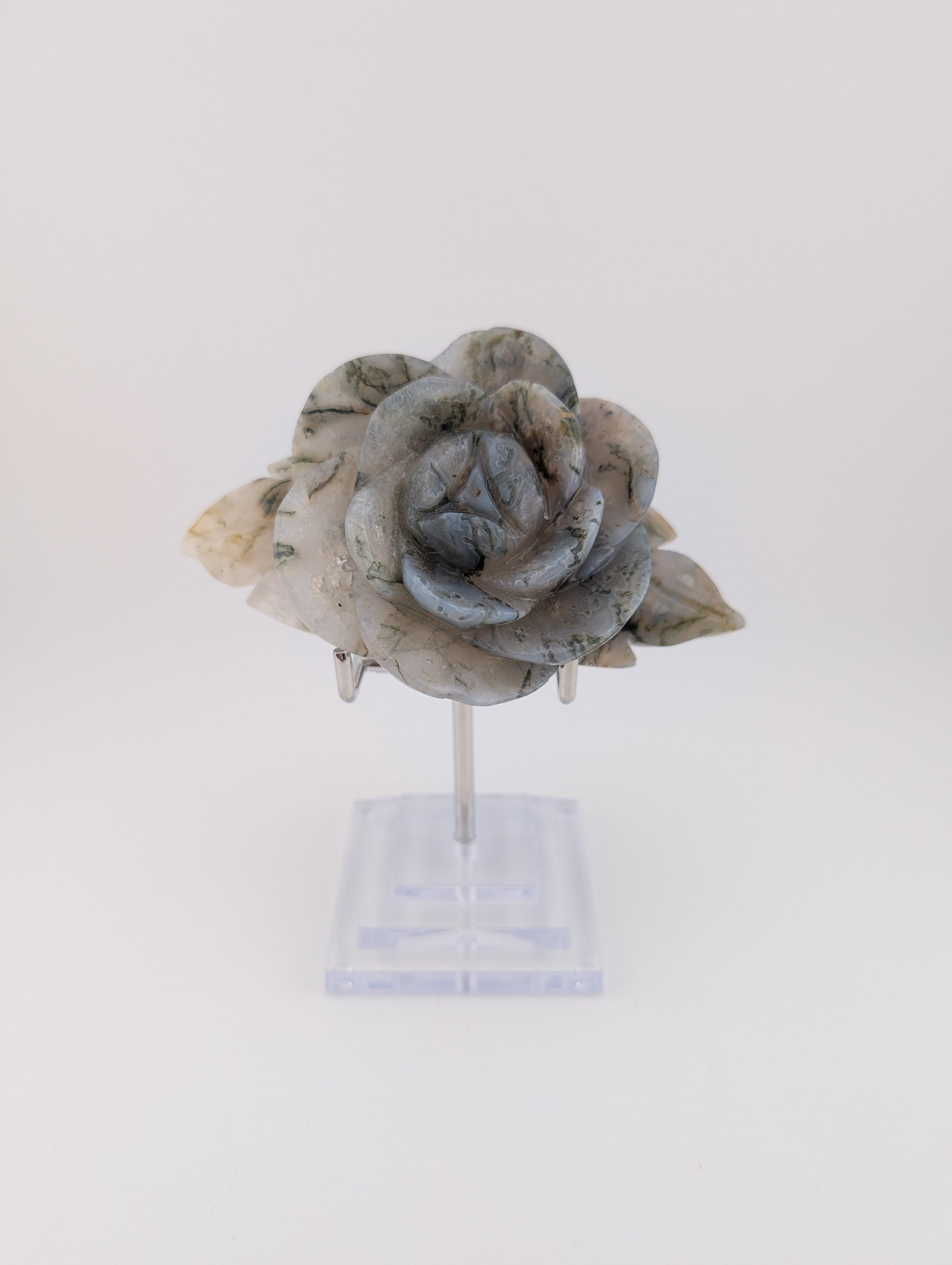 Moosachat Blume