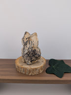 Bilder Jaspis Eule