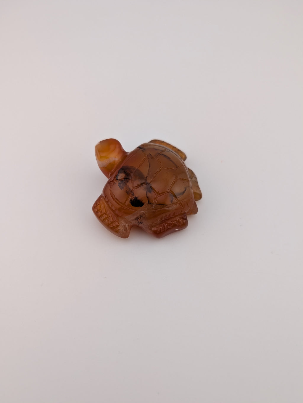 Karneol Schildkröte