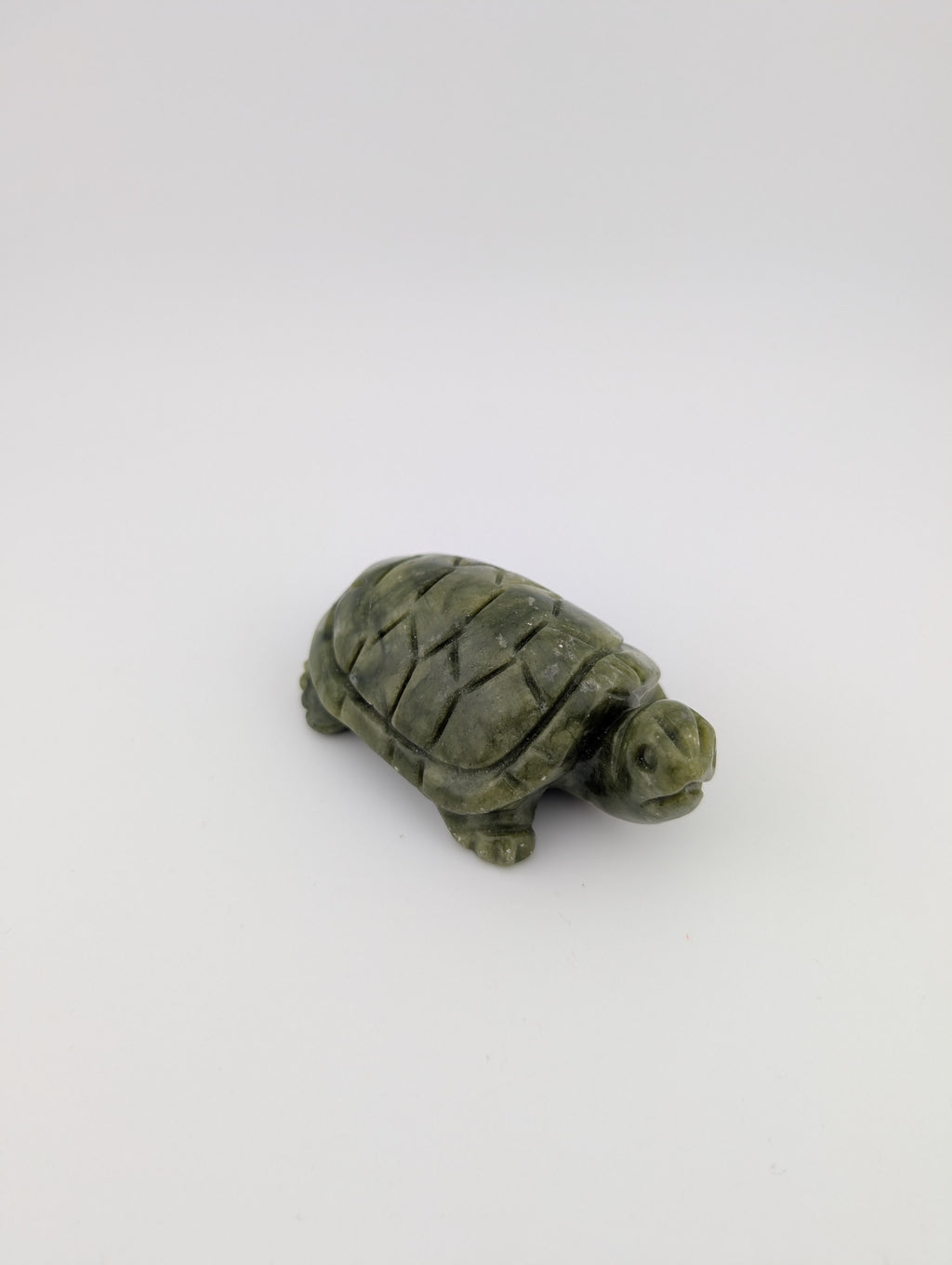 Grüne Jade Schildkröte