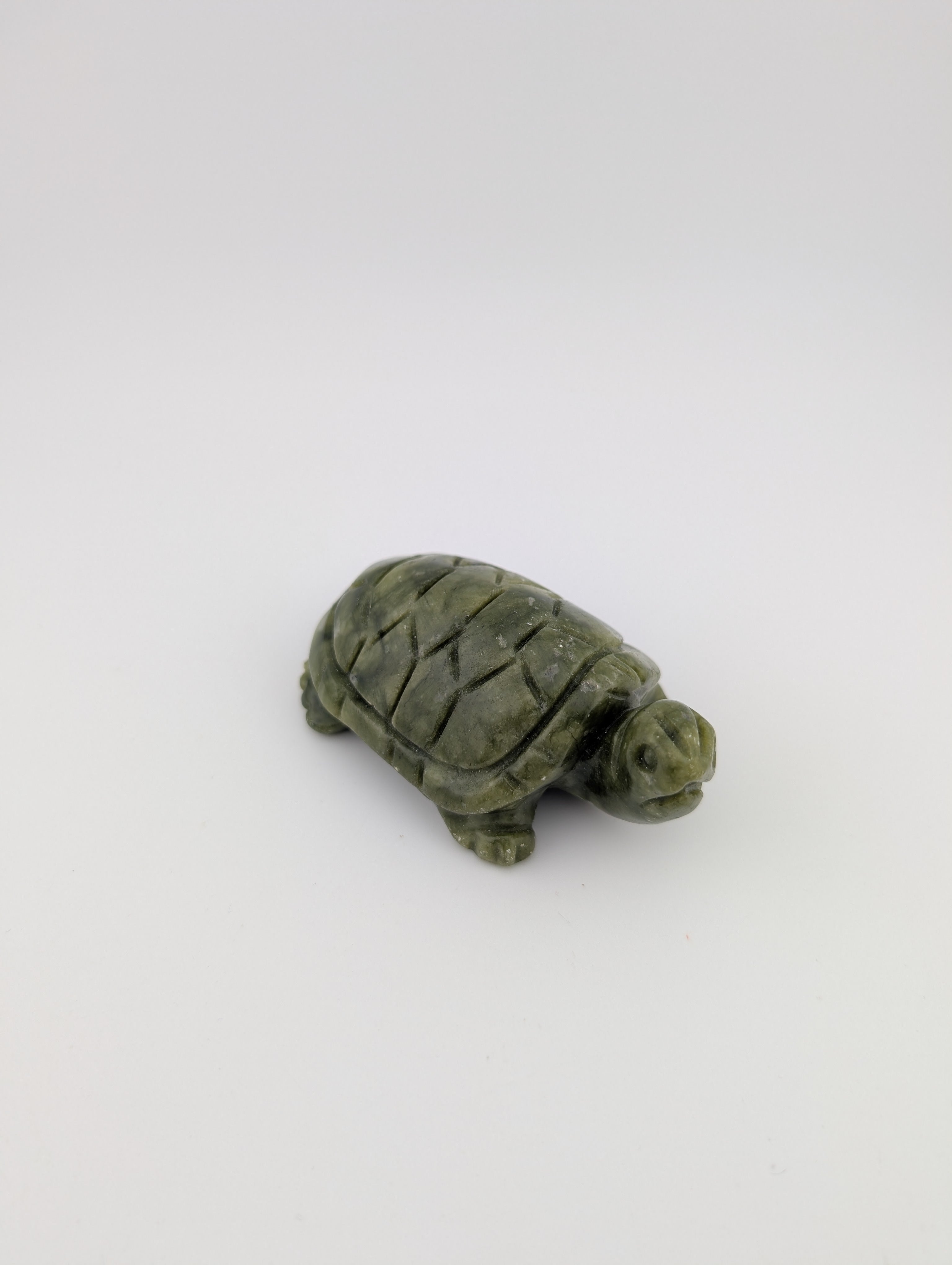 Grüne Jade Schildkröte