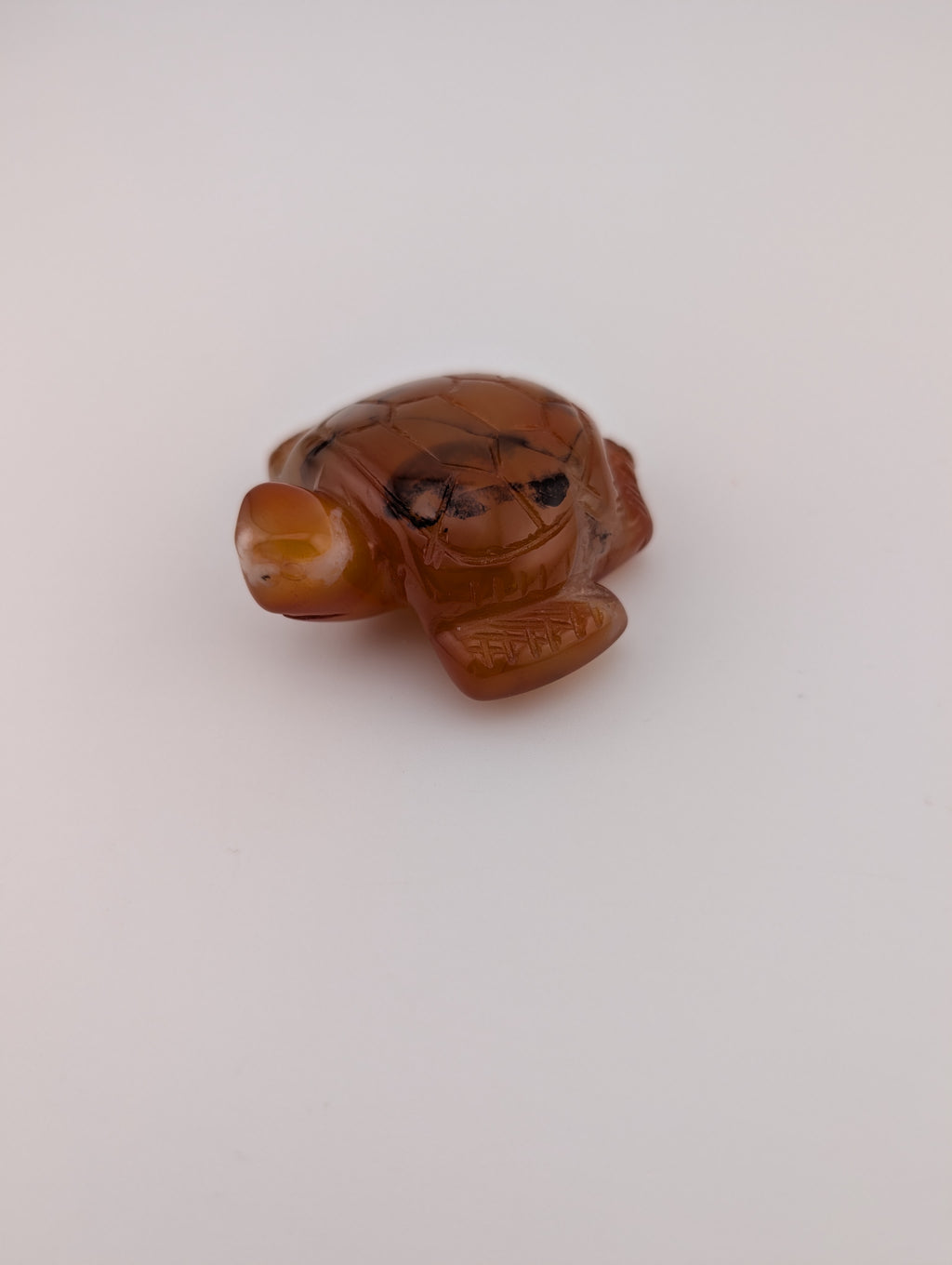 Karneol Schildkröte