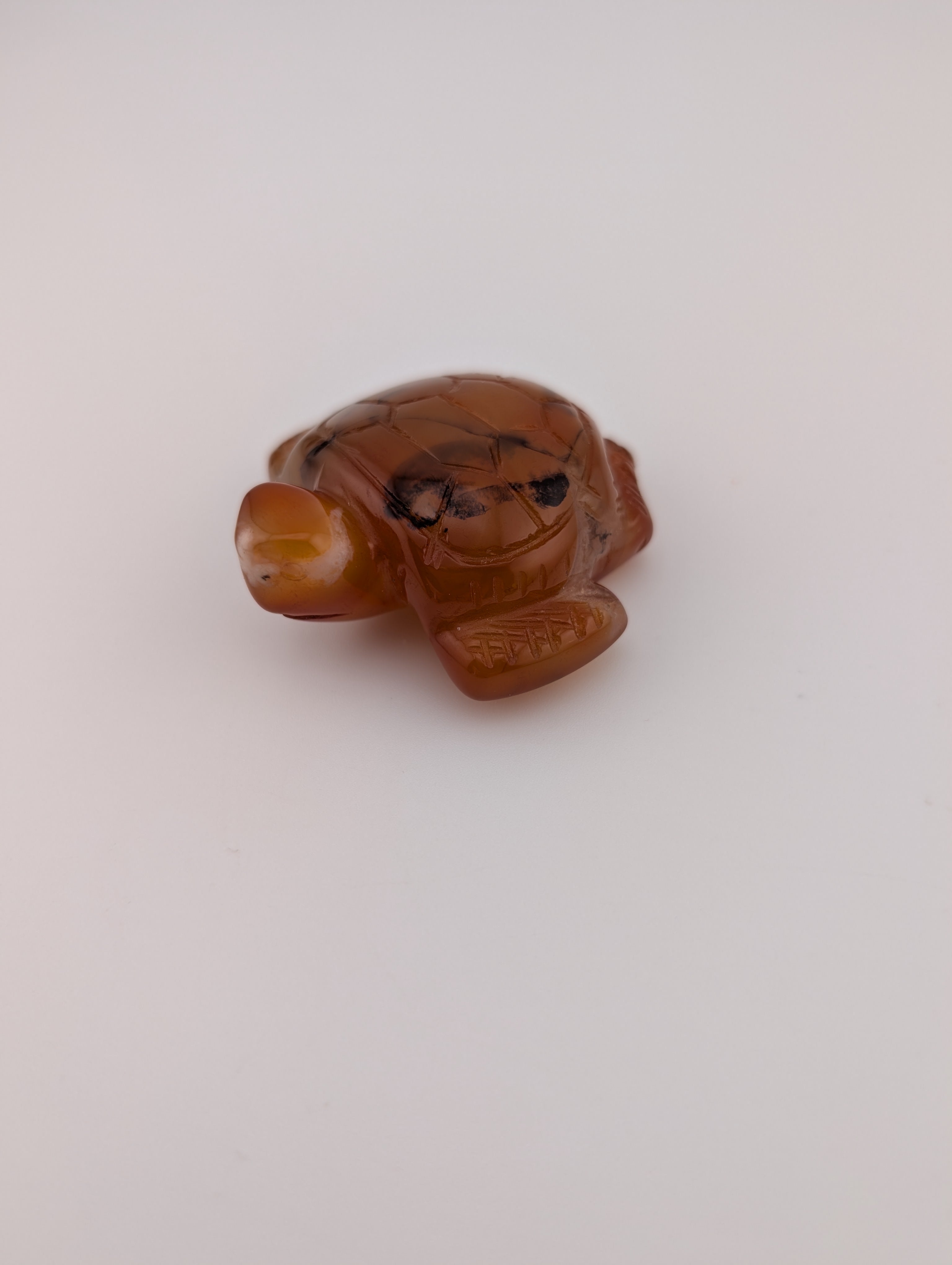 Karneol Schildkröte