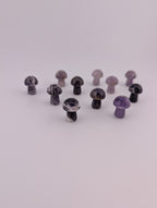 Amethyst Pilz