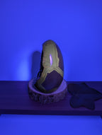 Septarien Freiform