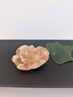 Blumenachat Blume